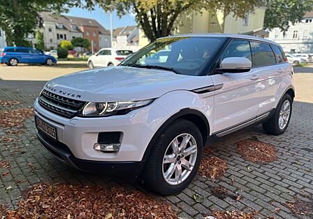 Land Rover Range Rover Evoque Pure *Automatik*