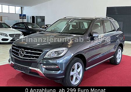 Mercedes-Benz ML 350 CDI BlueTec AHK