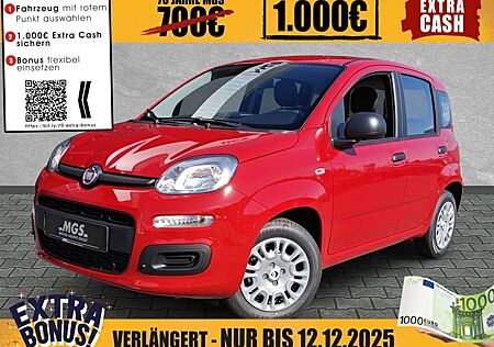 Fiat Panda Hybrid 1.0 GSE