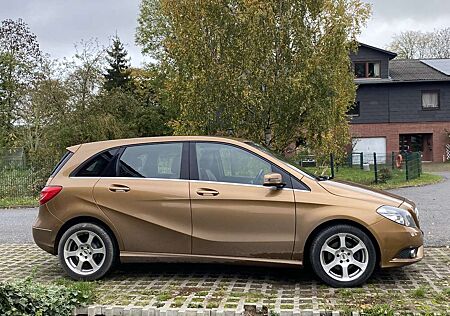 Mercedes-Benz B 200 gebraucht kaufen Mercedes-Benz B 200 CDI (246.201)