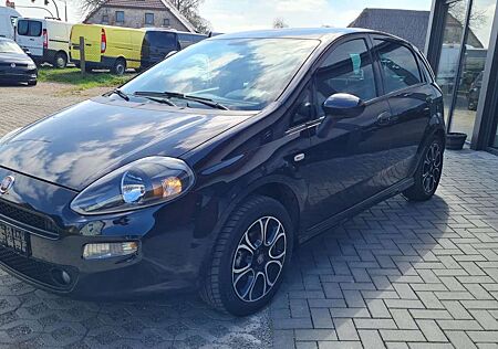 Fiat Punto Pop