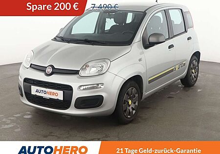 Fiat Panda gebraucht kaufen Fiat Panda 1.2 Young*KLIMA*GARANTIE*