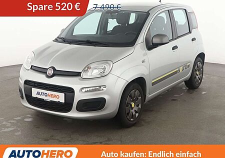 Fiat Panda 1.2 Young*KLIMA*GARANTIE*