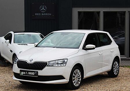 Skoda Fabia Cool Plus 1,0 EURO-6 PDC 1-HAND HU/AU NEU