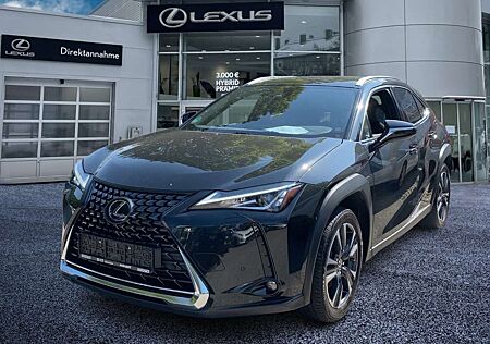 Lexus UX 250h Style Edition ACC FLA ParkAss. SpurW LM