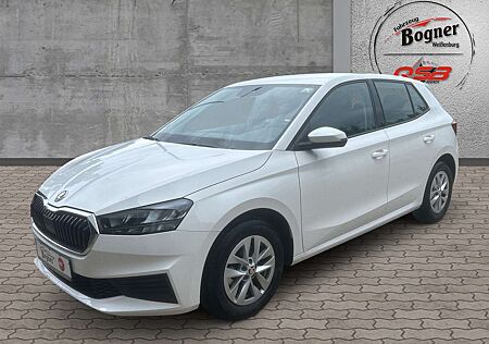 Skoda Fabia 1.0 TSI Ambition LED SHZ Kamera Smartlink