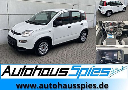 Fiat Panda 1.0 Mild Hybrid Base Klima DAB