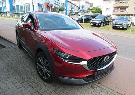 Mazda CX-3 0 Selection 2WD/Design-Paket/LM Felgen