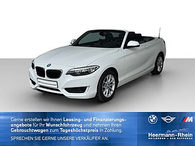 BMW 218 i Cabrio Sportsz.PDC.SHZ.FSE.RDC.Regens...