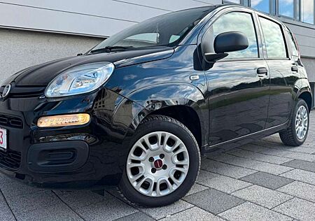Fiat Panda 1.2+TÜV +GARANTIE+KLIMA+1HAND+SCHECKHEFT