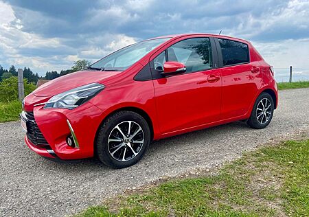 Toyota Yaris Team D Standheizung