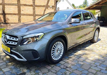 Mercedes-Benz G 240 G 180 AHK SITZHZG PDC