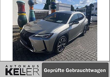 Lexus UX 250h Style Edition