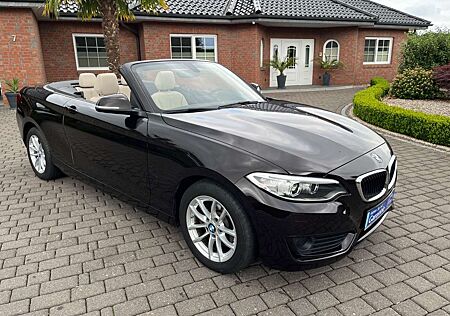 BMW 220 i Cabrio ((( M Sportleder+Xenon+37.000KM )))