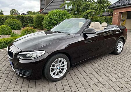 BMW 220 i Cabrio ((( M Sportleder+Xenon+37.000KM )))