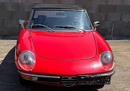 Alfa Romeo Spider H Kennzeichen HU neu