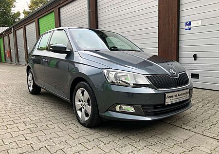 Skoda Fabia Ambition *MOD.2017*KLIMA*SITZHEIZUNG*PDC*ALU*