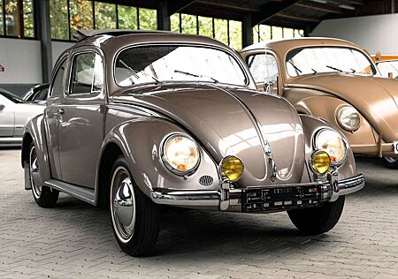 VW Käfer Volkswagen Ovali Faltdach aus der Hermann Walter Sammlung