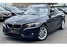 BMW 218 d Cabrio *LEDER*HARMAN&KARDON*NAVI*PDC*