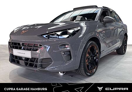 Cupra Terramar 2.0 TSI VZ 4Drive DSG Navi Kameras