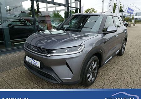 BYD ATTO 2 Boost *LED*360-Grad*Assistenz*