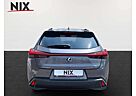 Lexus UX 250h Style+ Edition KAMERA EPH