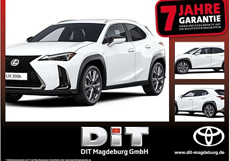 Lexus UX 300h F Sport Design ACC+LED+Navi+SHZ