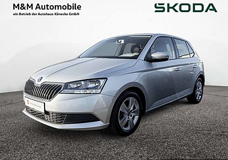 Skoda Fabia 1.0 TSI Cool Plus KLIMA SHZ PDC BLUETOO