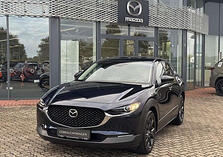 Mazda CX-30 2.0L e-SKYACTIV G 122ps Homura Allwetterreifen