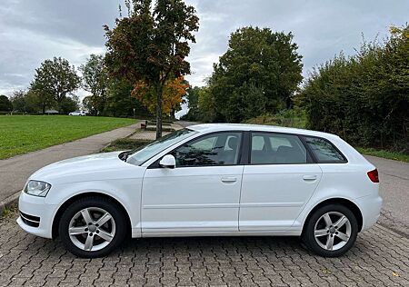 Audi A3 1.6 Attraction