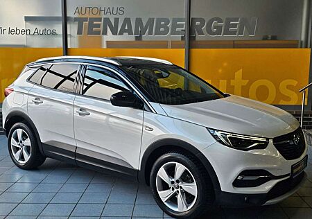 Opel Grandland X AHK SHZ v+h Kamera Denon Totwinkelwa