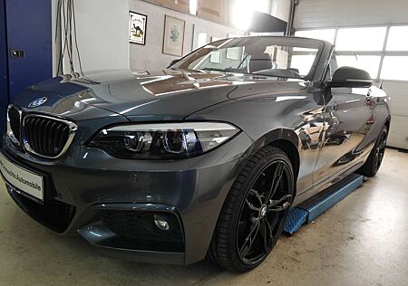 BMW 220 i M Sport,19ZOLL,M-Sportpaket 1J.GARANTIE