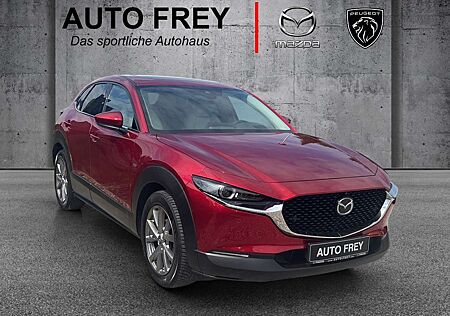 Mazda CX-30 AWD AHK Selection BOSE DES-P