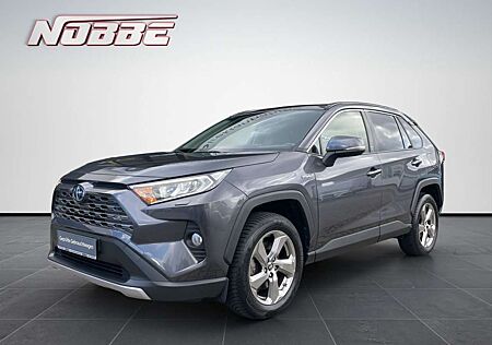Toyota RAV 4 4x4 Hybrid Team D Technik-Paket Allwetter