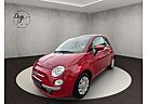 Fiat 500 *Panoramadach (Glas)*