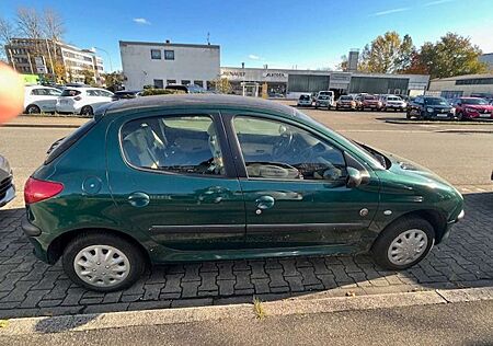 Peugeot 206 75 Roland Garros