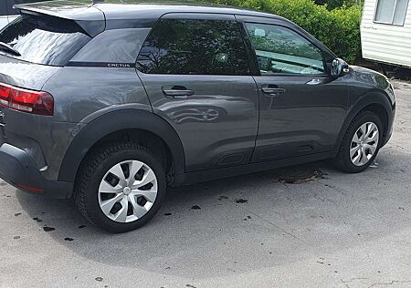 Citroën C4 Cactus Citroen PureTech 110 Stop