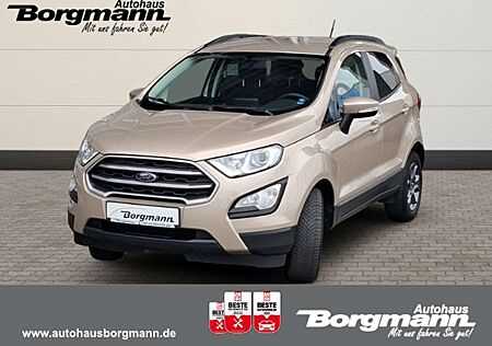Ford EcoSport Cool & Connect - AHK - Allwetter- SHZ - WSH -Klim