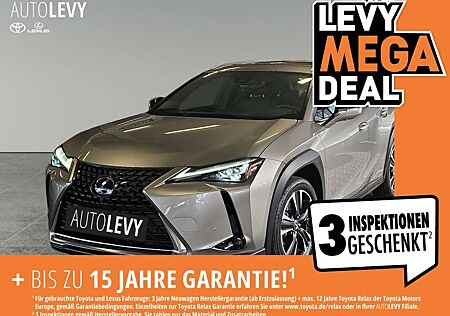 Lexus UX 250h Luxury Line *M&L*SCHIEBEDACH*