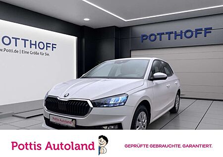 Skoda Fabia 1.0 TSI DSG SELECTION KLIMA PDC SITZHZG DAB+