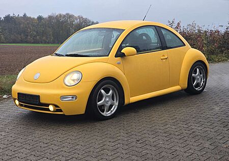 VW New Beetle Volkswagen 2.0 COLOUR Concept