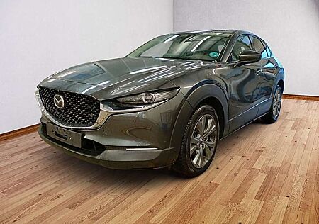 Mazda CX-30 2.5 Takumi Leder AUTOMATIK Bose, Matrix, 360°, All