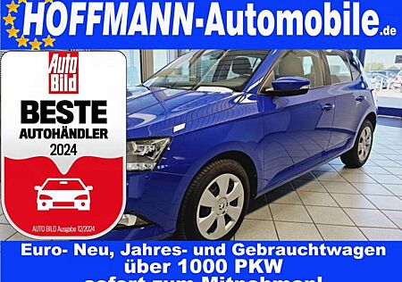 Skoda Fabia 1.Hand,Allwetterreifen,PDC,Klima