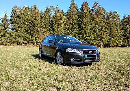 Audi A3 Sportback Diesel 2.0 TDI DPF Ambition Standheiz