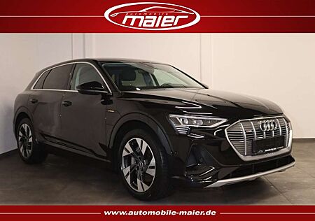 Audi e-tron 50 quattro S line Virtual-KAM-LED-NAV-SHZ