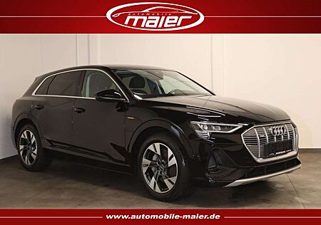 Audi e-tron 50 quattro S line Virtual-KAM-LED-NAV-SHZ