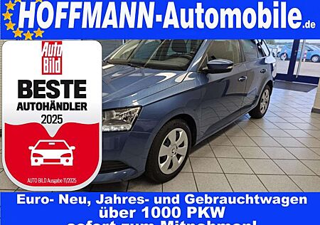 Skoda Fabia gebraucht kaufen Skoda Fabia Ambition Climatronic,Navi,PDC,SH