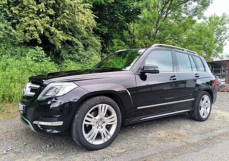 Mercedes-Benz GLK 200 CDI (BlueEFFICIENCY)