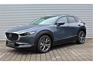 Mazda CX-30 SKY-G150 M-Hybrid SELECT.Design-Paket M+S