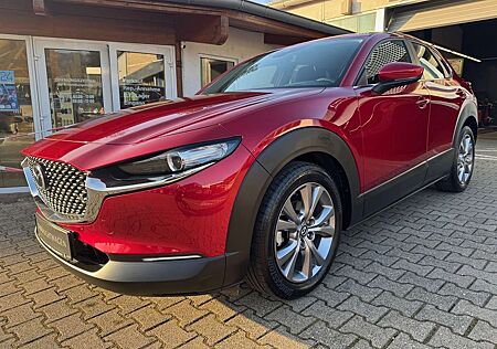 Mazda CX-30 L SKYACTIV-X 2.0 M Hybrid 6GS AL-SELECTION A18 Nav